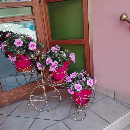 Giardino 3*